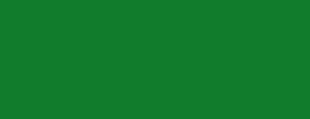 FRESH GREEN (046)