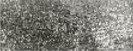 URBAN BLACK (111)