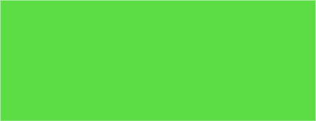 FLUORESCENT GREEN (205)