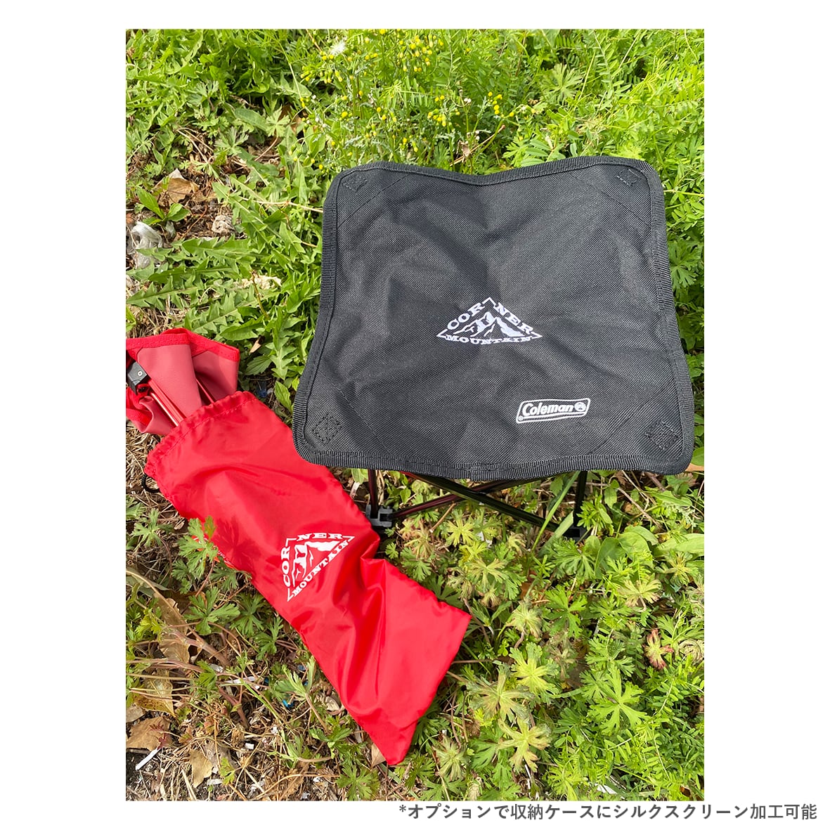 Compact Chair (#2000021982)