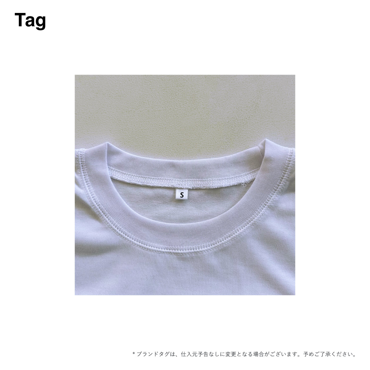 TRUSS トラス 6.2 oz リサイクルポリエステル 天竺 Tシャツ (品番PBT-921)