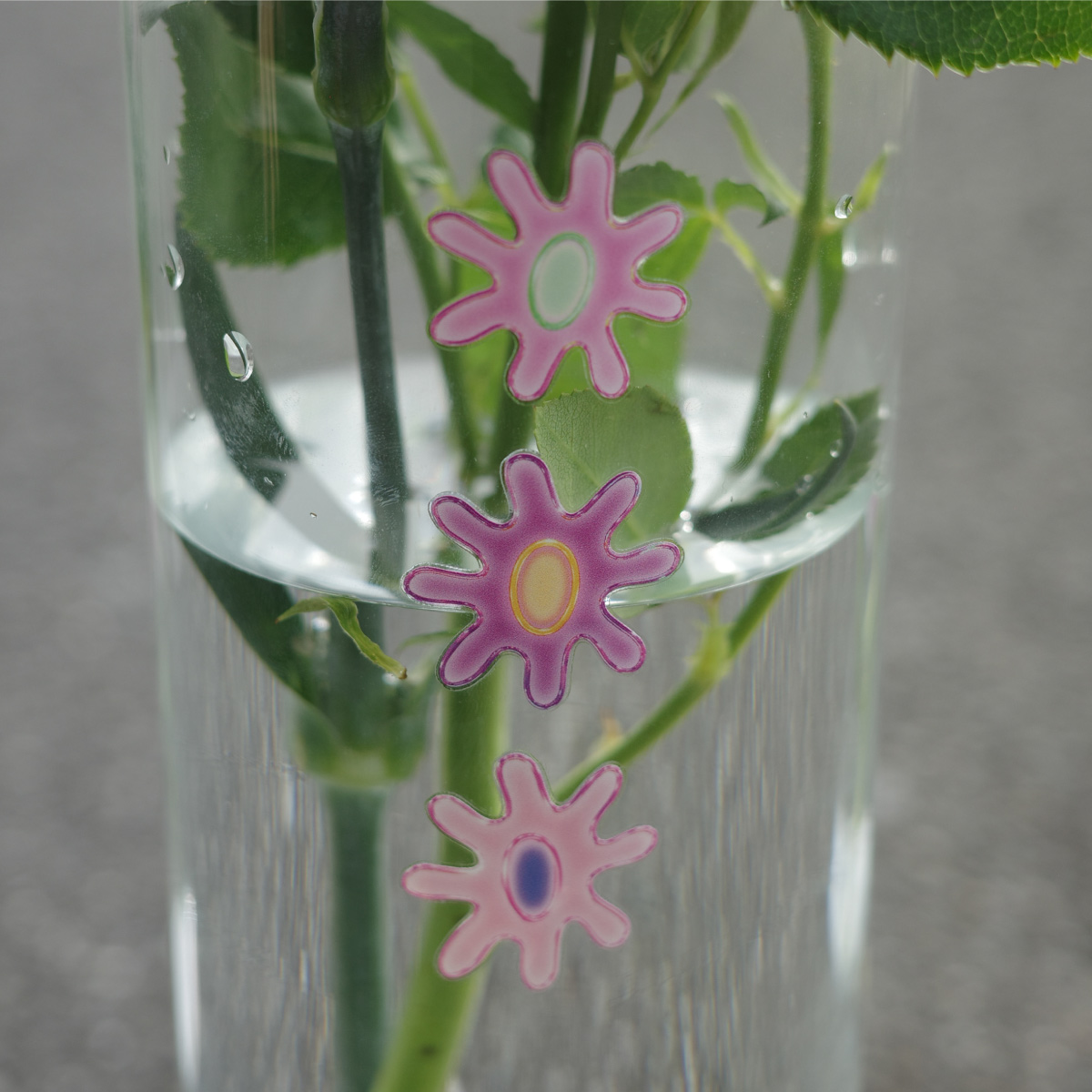 花瓶 71CrE6ISMRL._UF350,350_QL80_.jpg