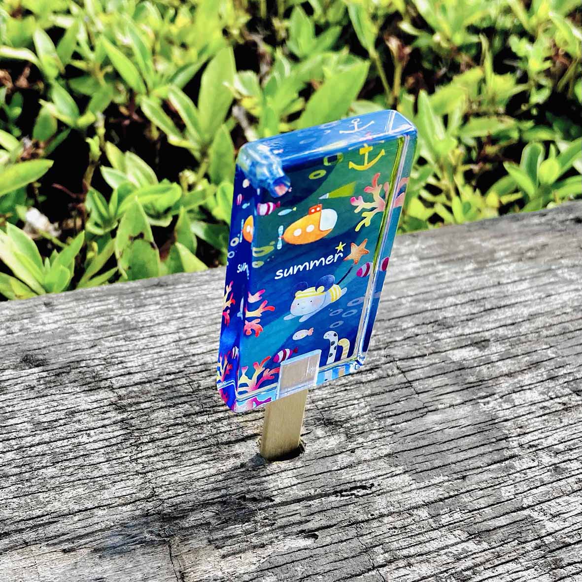 Acrylic Popsicle (Set of 2) (#ACR-Kice)