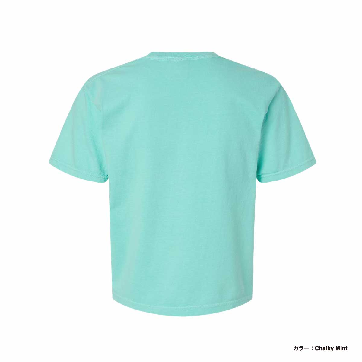 CHARLOTTE CURRY 30番 水色Tシャツ CORNER PRINTING | Comfort Colors コンフォートカラーズ 6.1oz