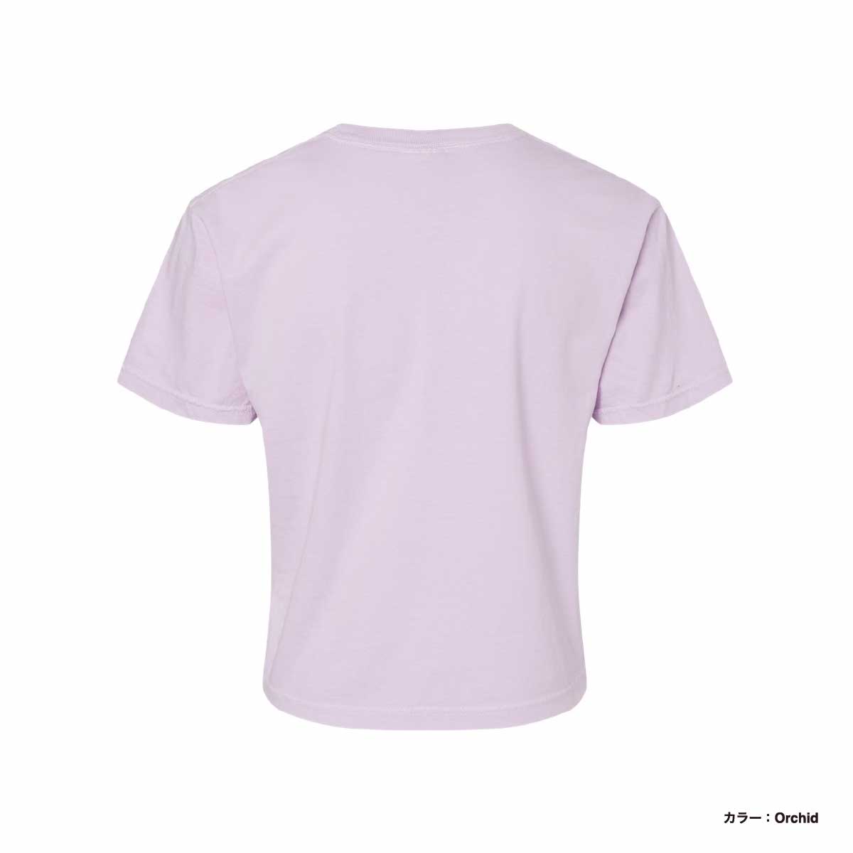 シャツ 3 TAP Dyeing Washer Shirt (3color) Tie-Dye 1390 - Crystal Wash T-Shirt - Silver | Wordans USA