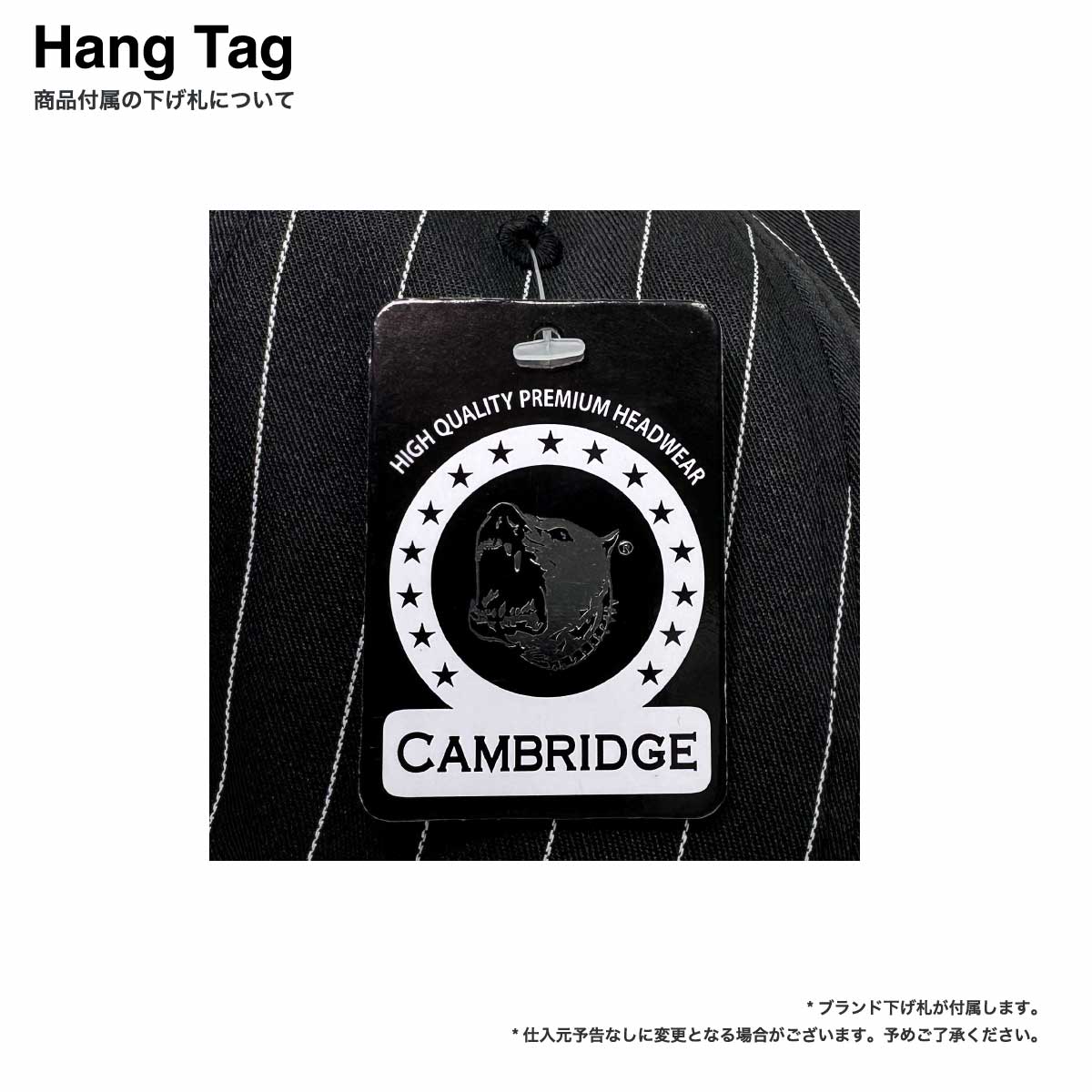 PITBULL ピットブル 6-Panel Pinstripe Snapback Hat (品番PB327-O)