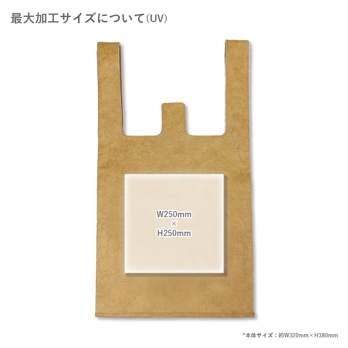 [Stock Only]   Tyvek Convenience Bag (#TYV-CB)