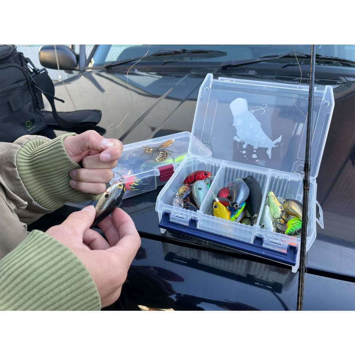 Clear Case [with dividers]  (#D-800N)