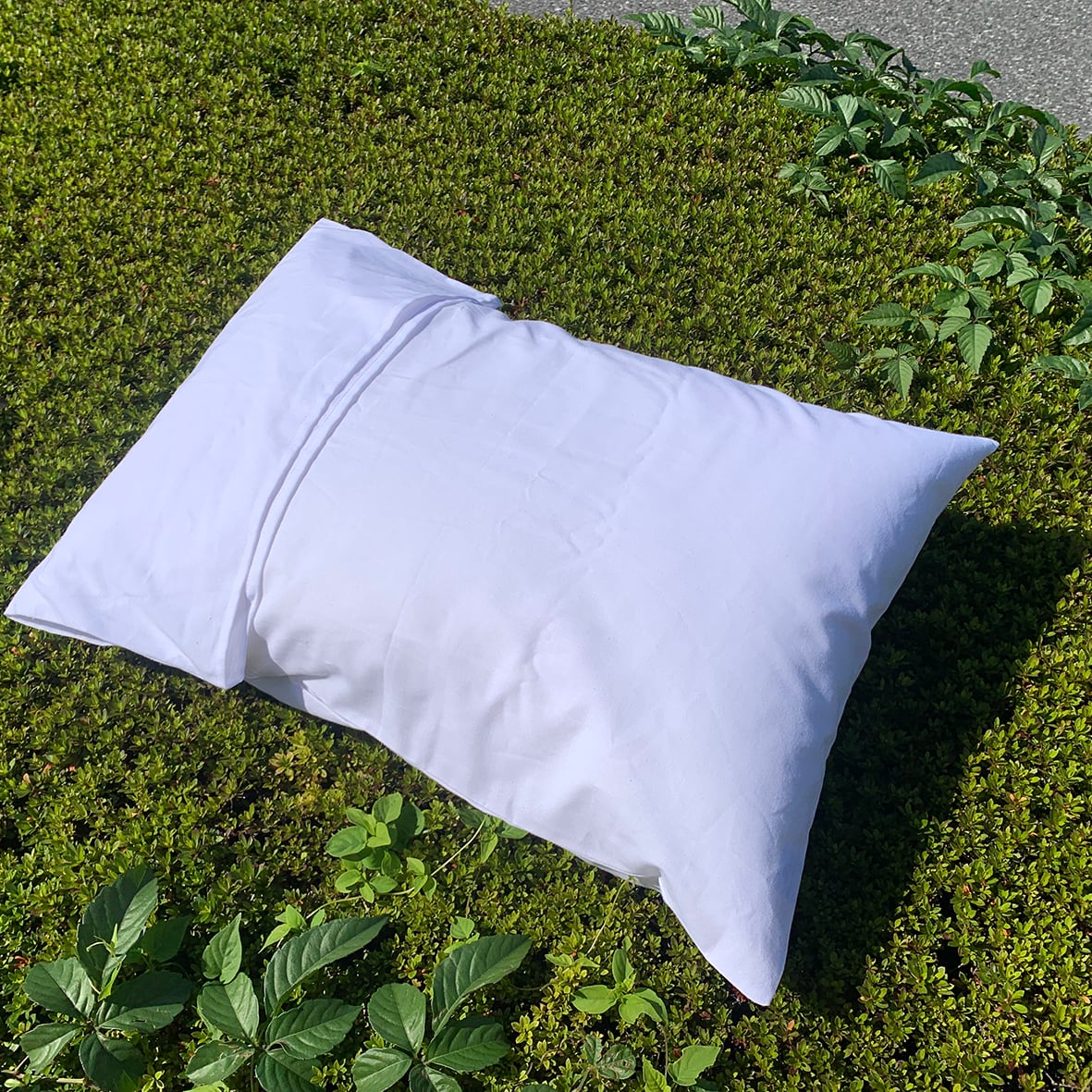 Pillowcase (#82161266)