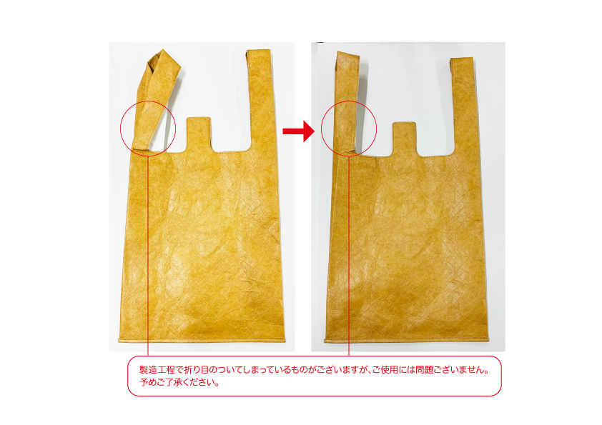 [Stock Only]   Tyvek Convenience Bag (#TYV-CB)