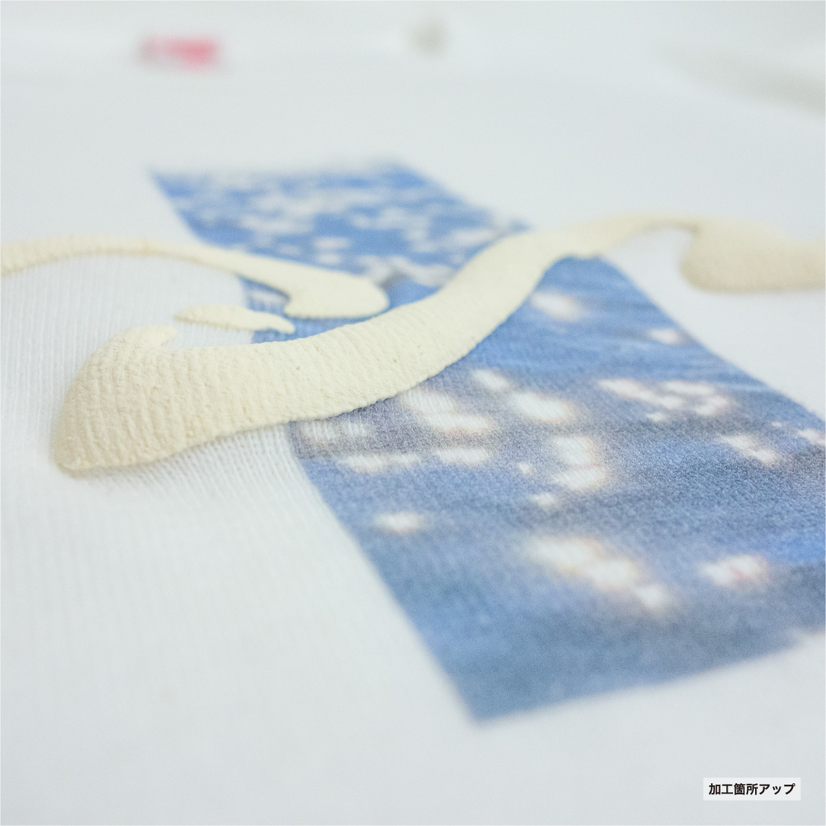 Cropped Long Sleeve T-Shirt (#CPCLST-DM4510)