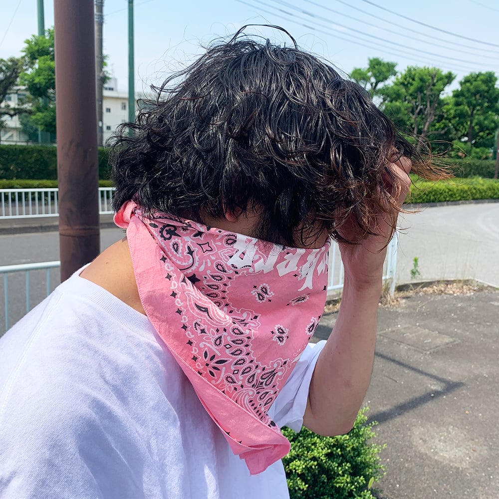 HAV-A-HANK 22 inch Paisley Pattern Bandanas (Set of 12) (#BAND-M0001)