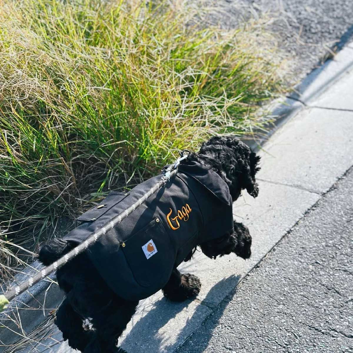 Carhartt Dog Chore Coat (#CD340)