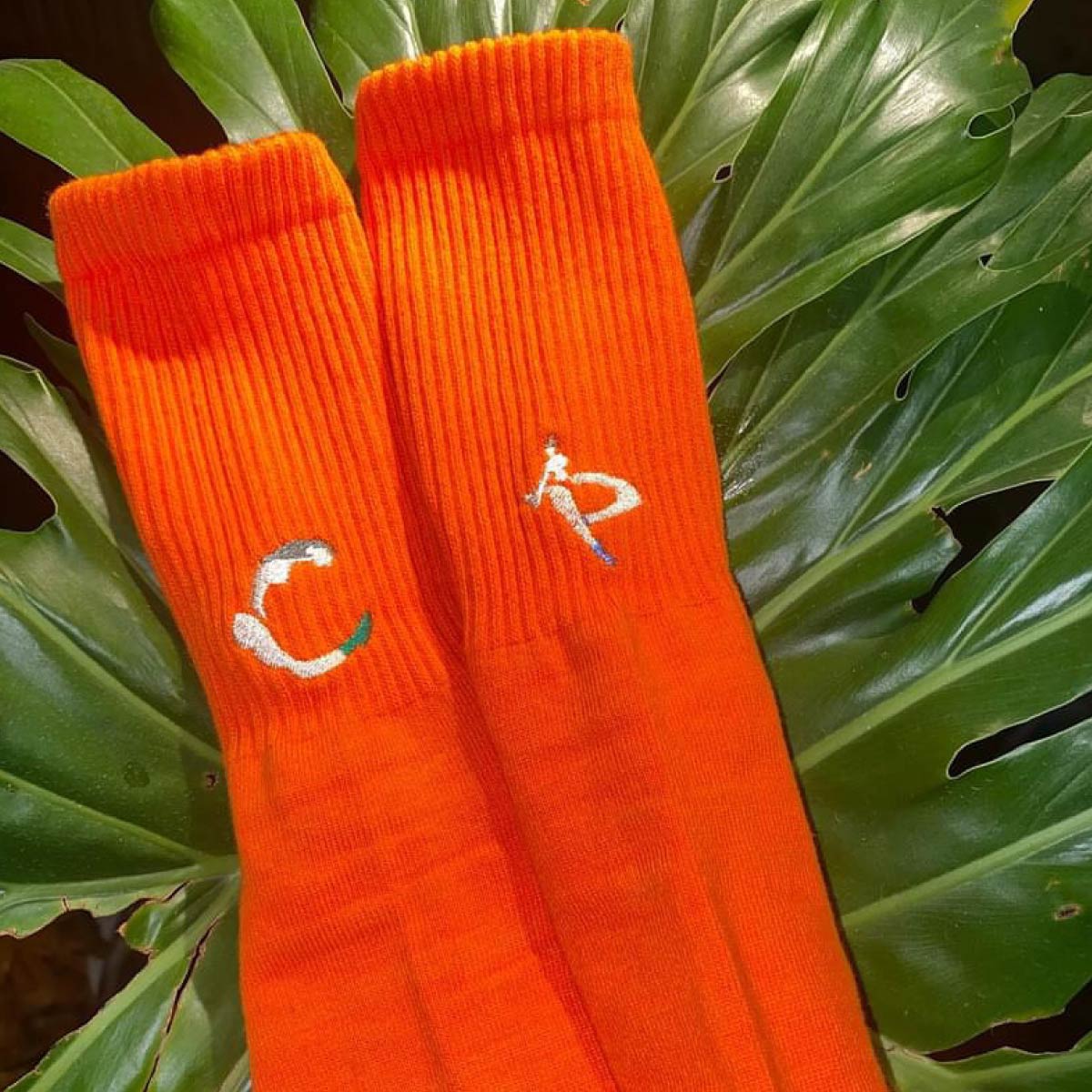 Women's Original Sport Color Socks (#CPWS-006) 
