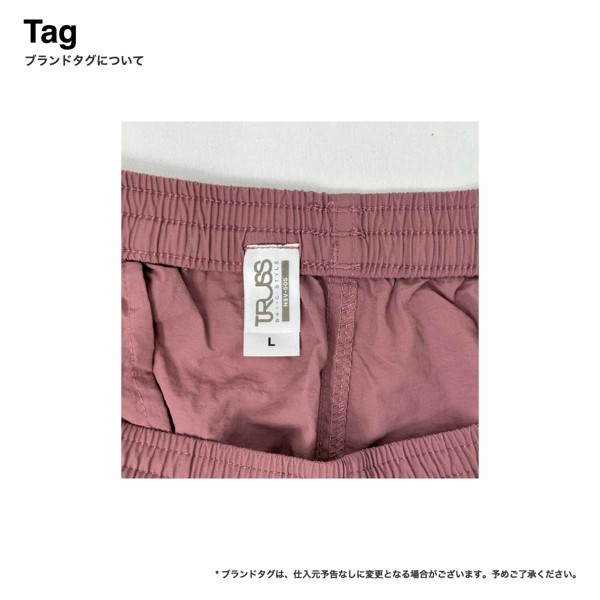 TRUSS Versatile Nylon Shorts (#NSV-505)