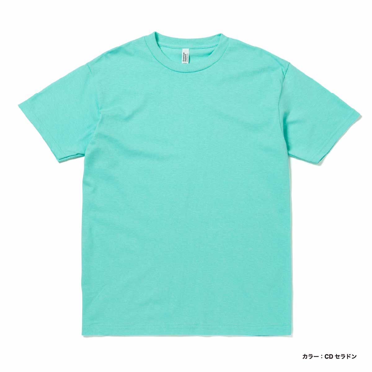 American Apparel  6.0oz Short Sleeve T-Shirt (#AAPP-T1301)