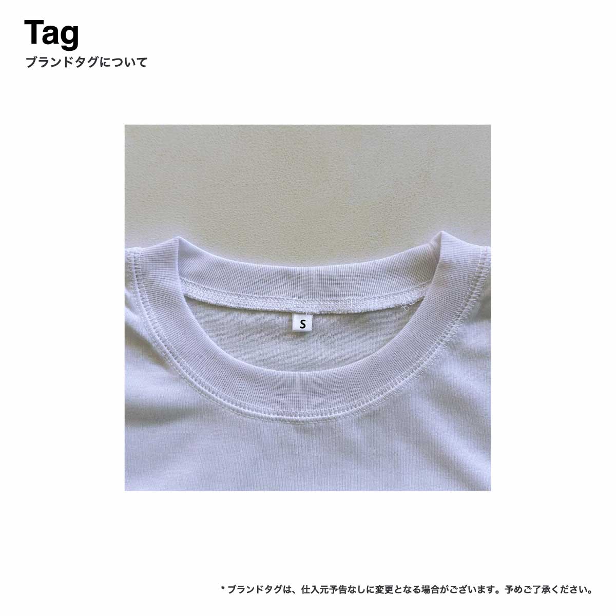 TRUSS トラス 6.2 oz リサイクルポリエステル 天竺 Tシャツ (品番PBT-921)