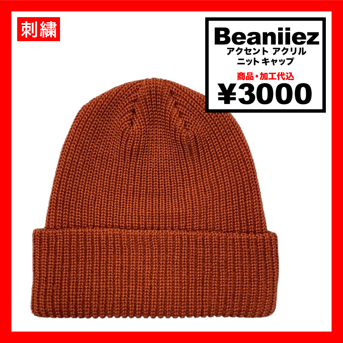 Beaniiez ビーニーズ Accent Acrylic アクセント アクリルニットキャップ (品番accentacrylic-Z)