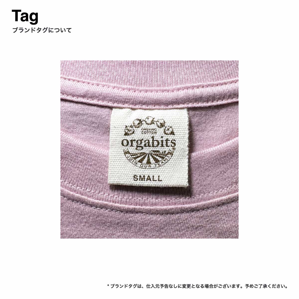 TRUSS トラス 5.3 oz オーガニック コットン Tシャツ (品番OGB-910)