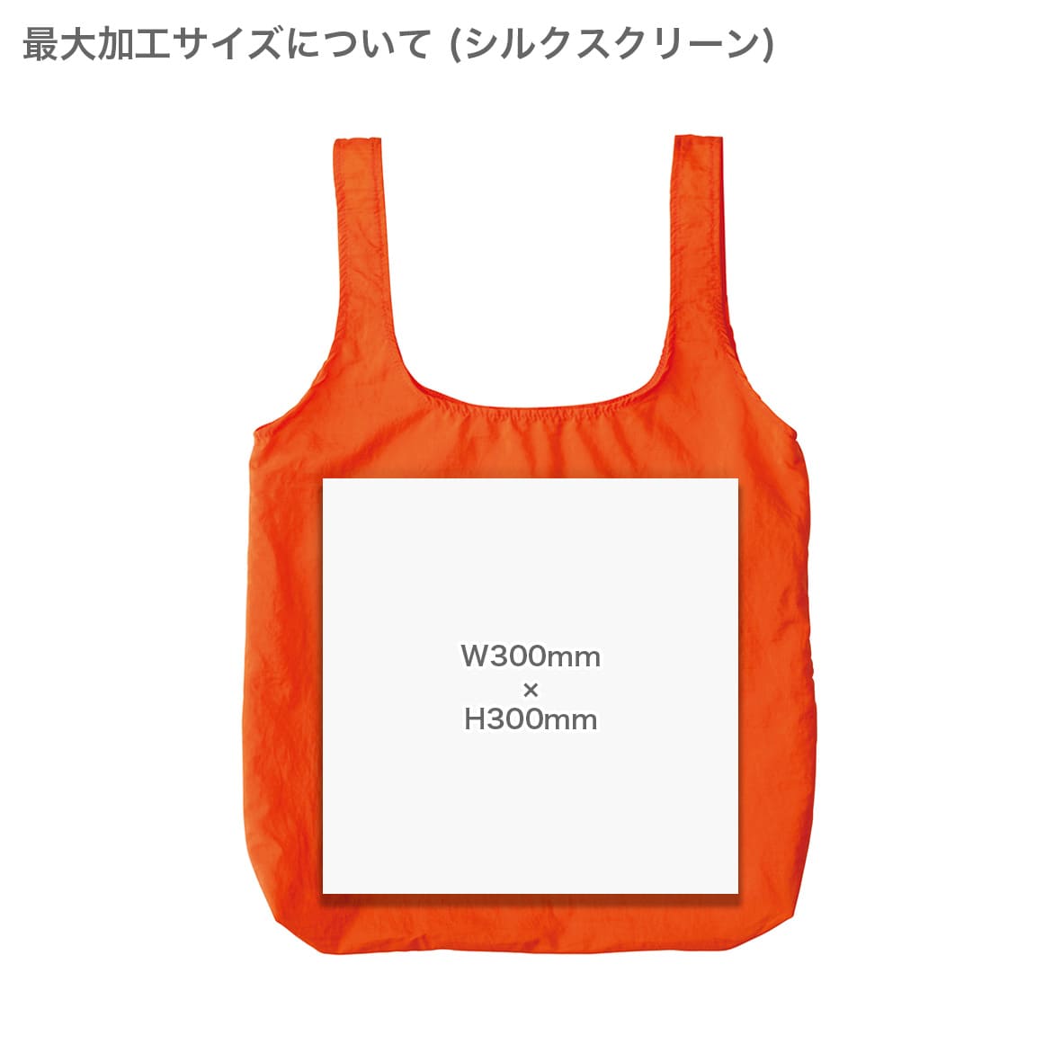 TRUSS Nylon Pocketable Bag (#NPE-310)