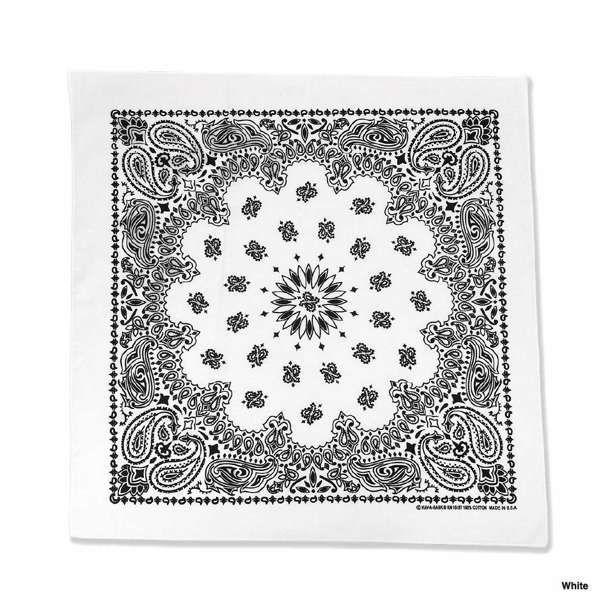 HAV-A-HANK ハバハンク 22 inch ペイズリー柄 バンダナ (12枚セット) (品番BAND-M0001)