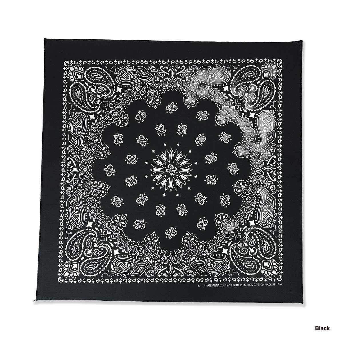 HAV-A-HANK ハバハンク 22 inch ペイズリー柄 バンダナ (12枚セット) (品番BAND-M0001)