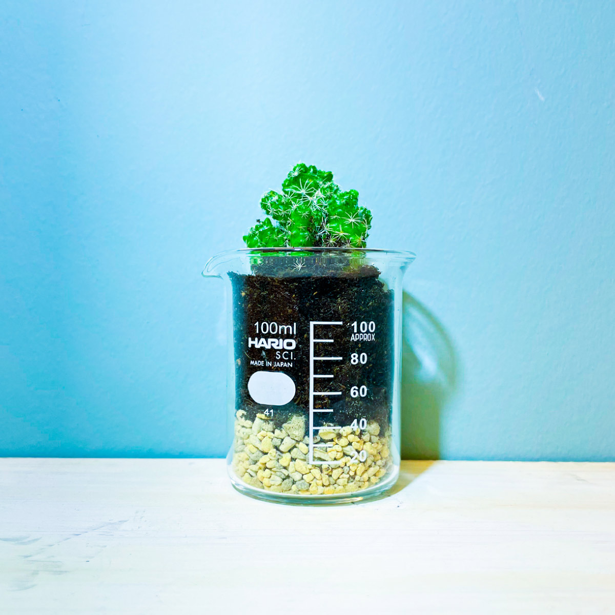  HARIO ハリオ ビーカー 100ml (品番B-100_SCI)
