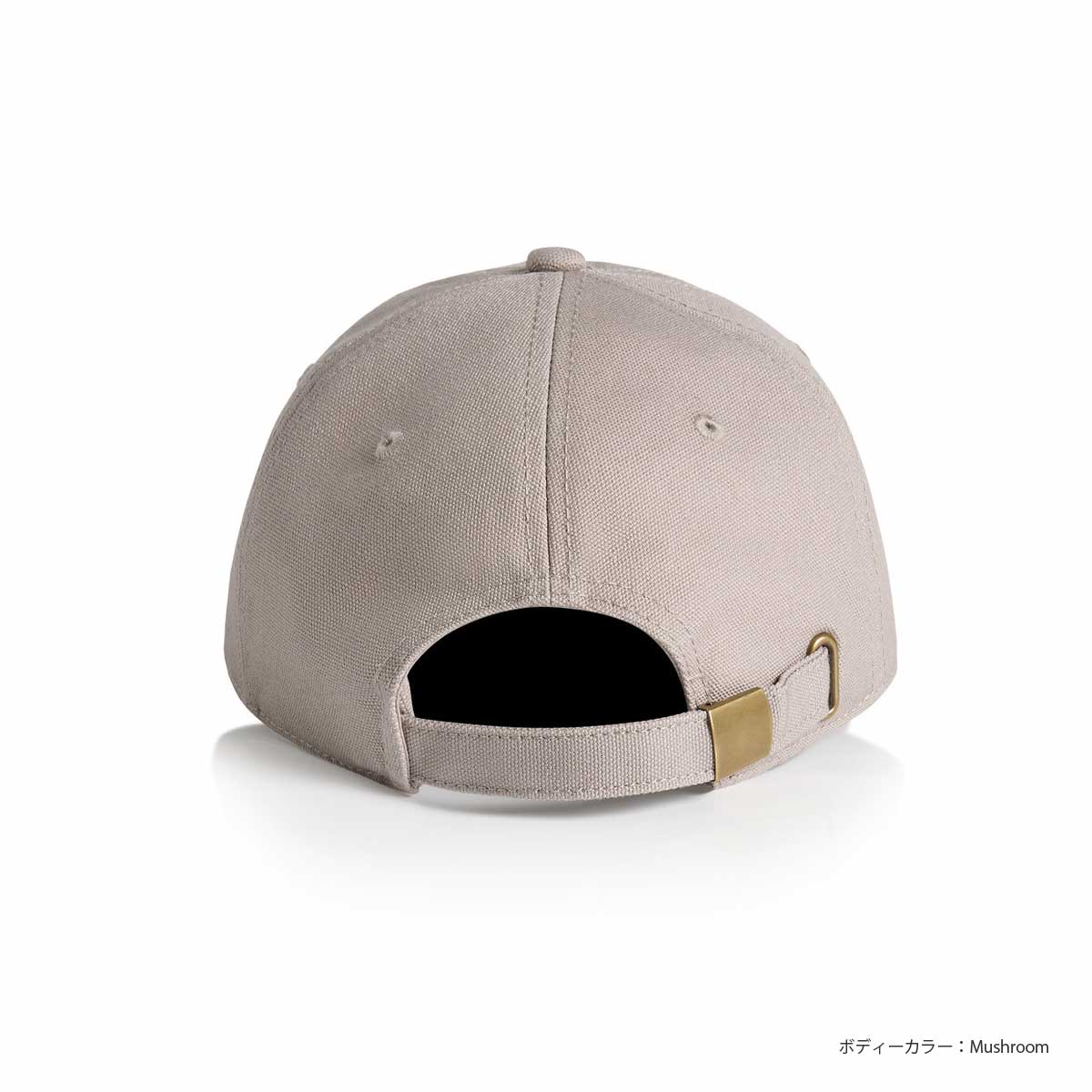 AS Colour Access Canvas Cap (#1131US)