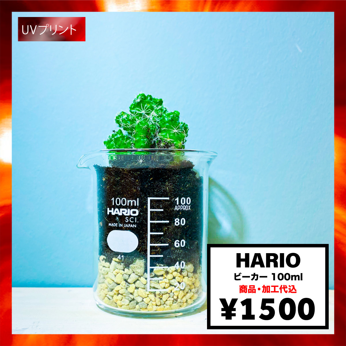  HARIO ハリオ ビーカー 100ml (品番B-100_SCI)
