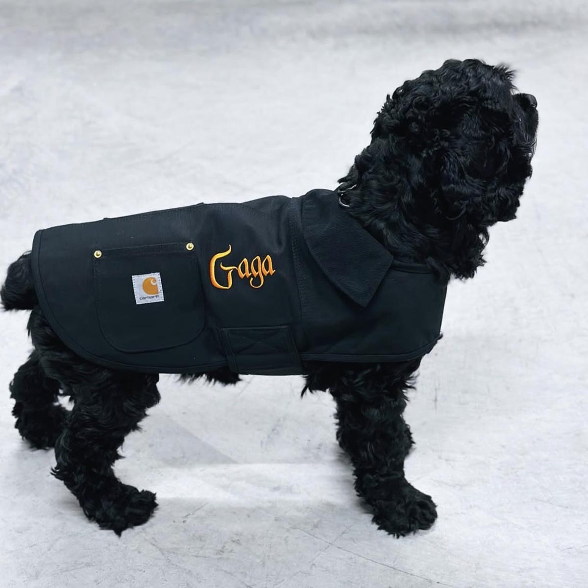 CORNER PRINTING | Carhartt カーハート Dog Chore Coat (品番CD340)