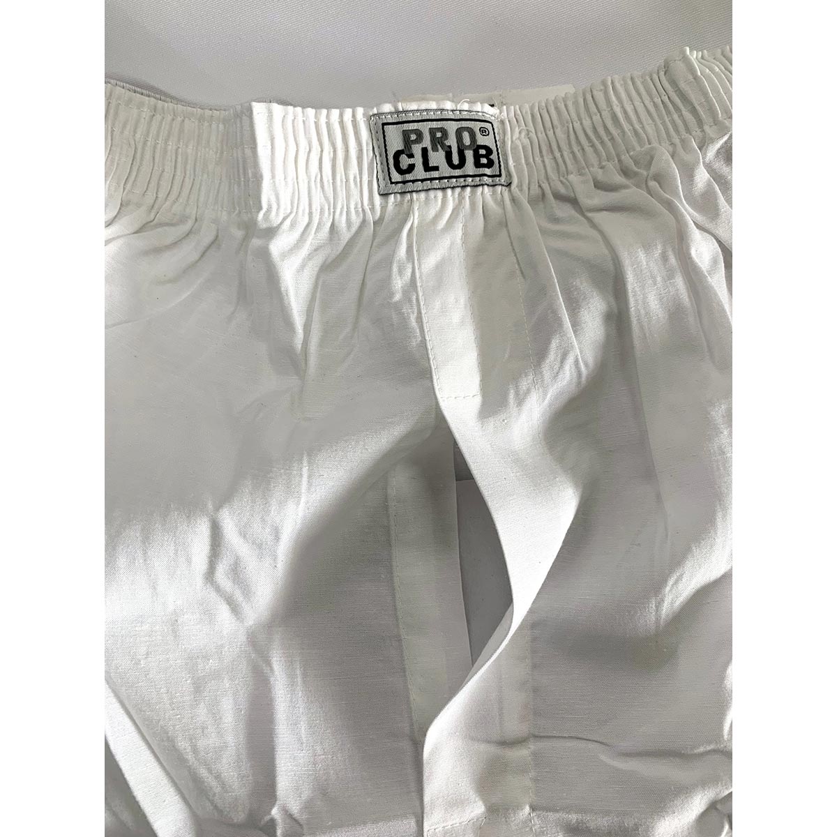 CORNER PRINTING | PROCLUB プロクラブ Boxer Trunks (品番