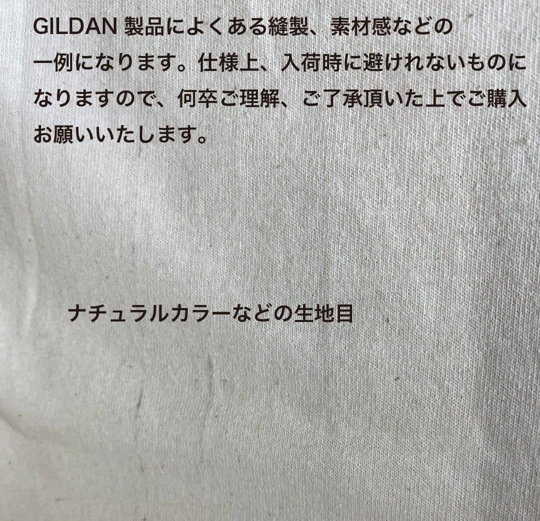 GILDAN ギルダン 4.5 oz ポリエステル100%Tシャツ (品番4200)