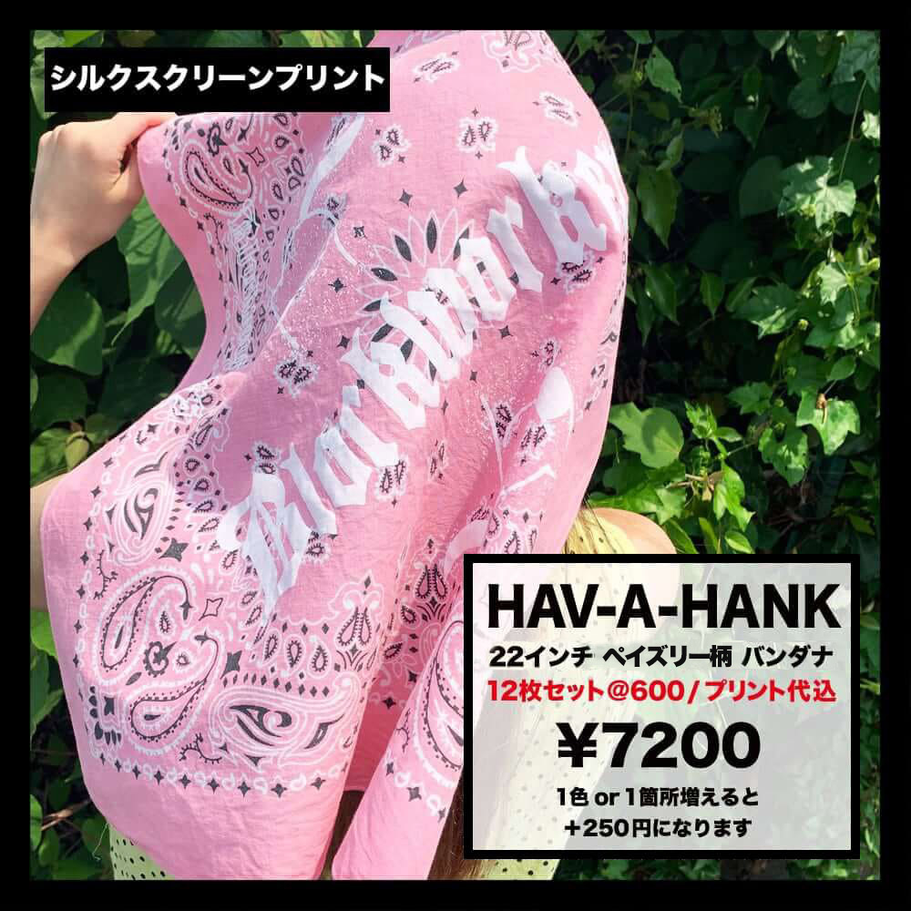 HAV-A-HANK ハバハンク 22 inch ペイズリー柄 バンダナ (12枚セット) (品番BAND-M0001)